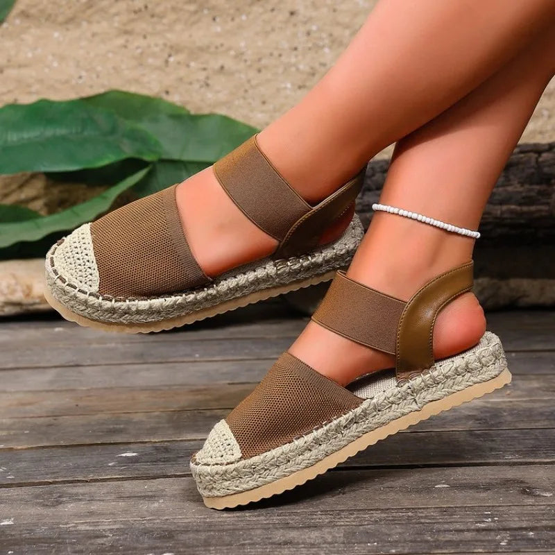 Delia in Brown